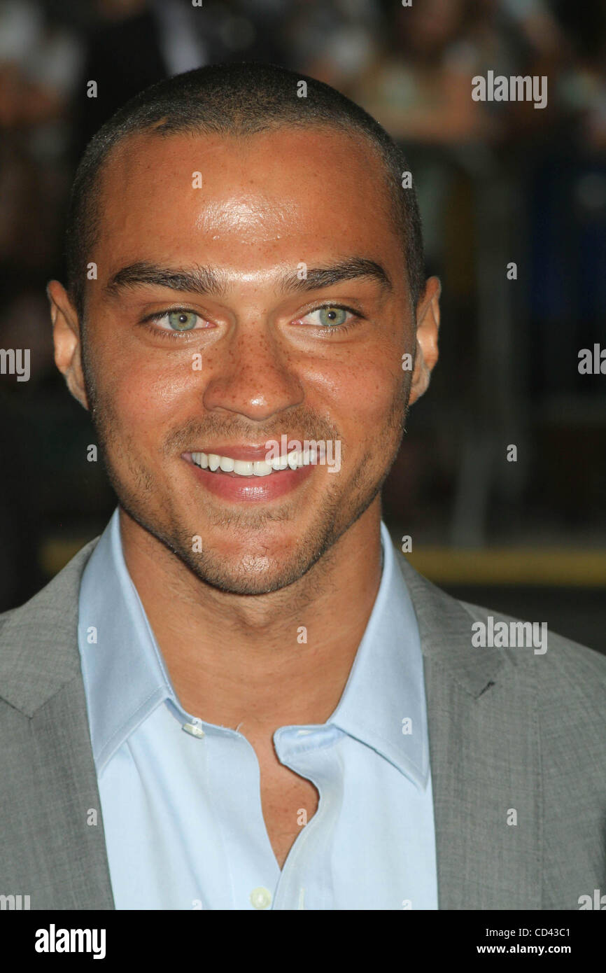 Jesse Williams Sisterhood Of The Traveling Pants
