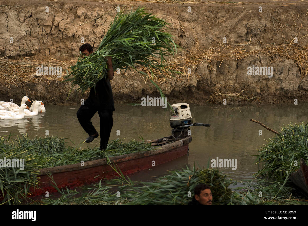 Oct 29 2008 Al Hamar Marsh Iraq Believed By Many To Be The