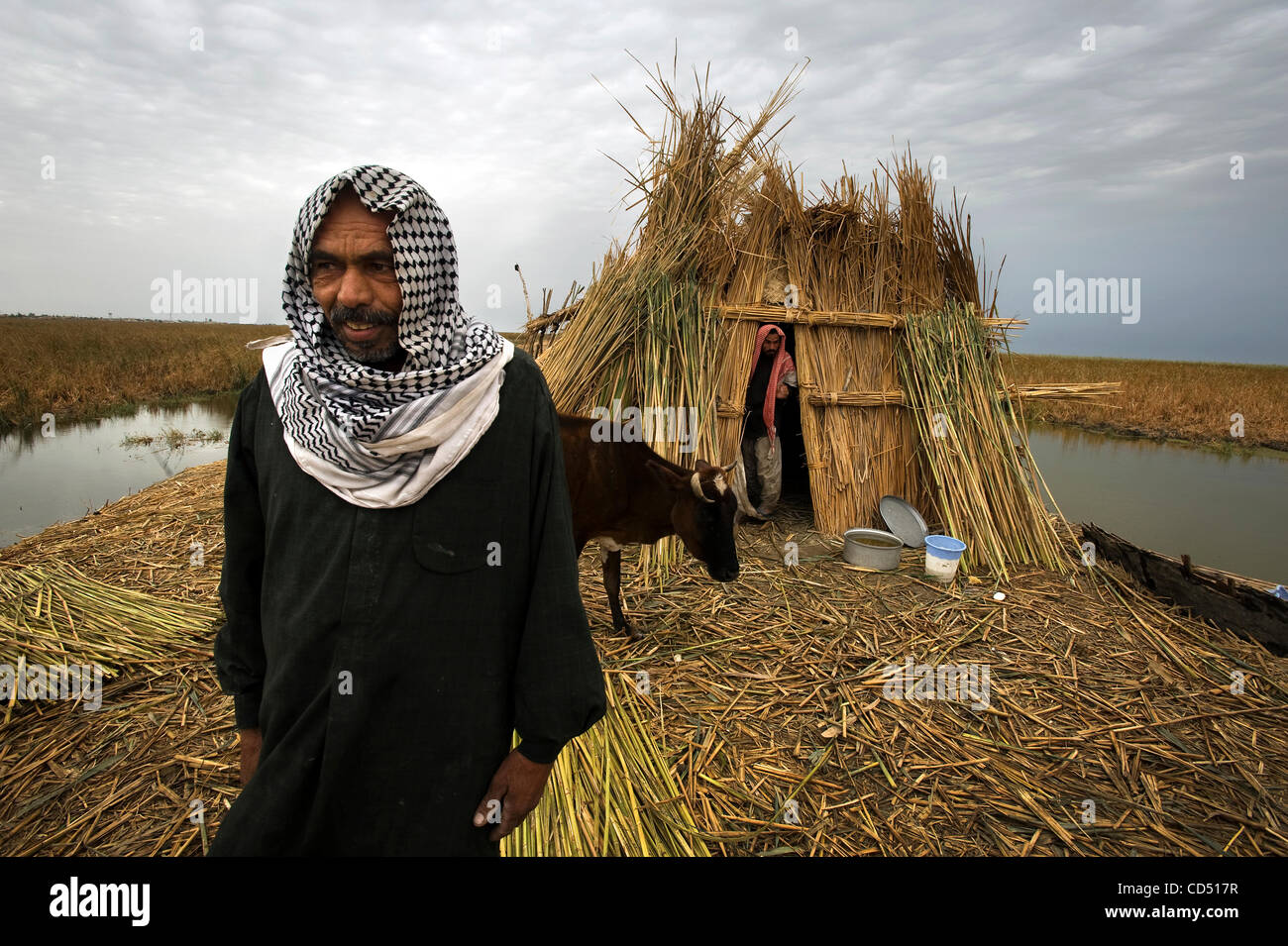 Oct. 29, 2008 - Al Hamar Marsh, Iraq - Two men walk from a traditional Marsh dwelling. Some marsh Ahrabs are building home with more modern block and mortar...The marsh Arabs were forced to leave their native land after their marshes were drained and only a few thousand of the nearly half-million ha Stock Photo