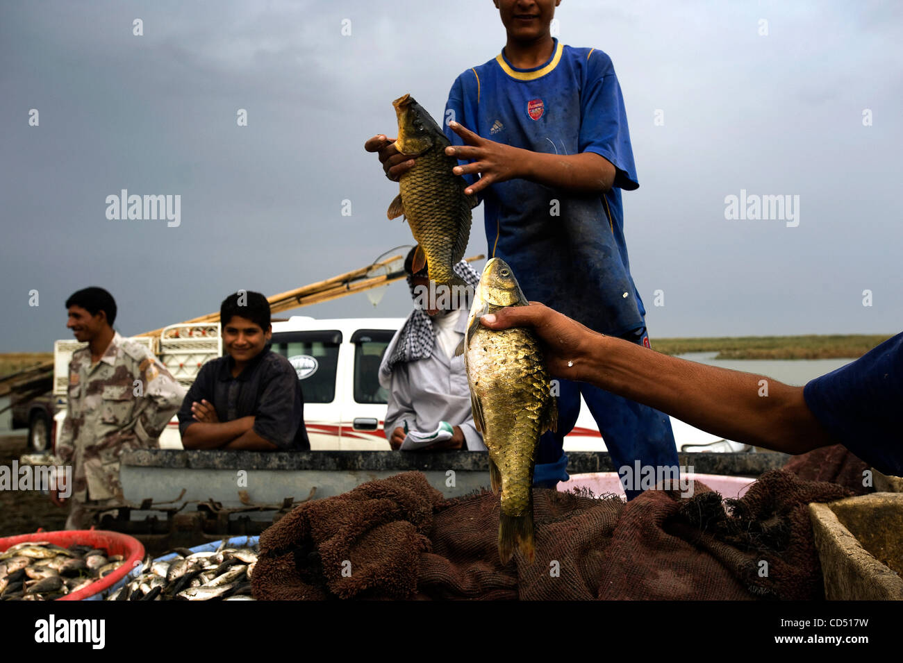 Oct. 29, 2008 - Al Hamar Marsh, Iraq - A group of young fishermen display their catch as it is loaded in trucks to be taken to market. Many of the estimated 500,000 inhabitants of the Iraq marshes were displaced after Saddam Hussein drained the marshes...The marsh Arabs were forced to leave their na Stock Photo