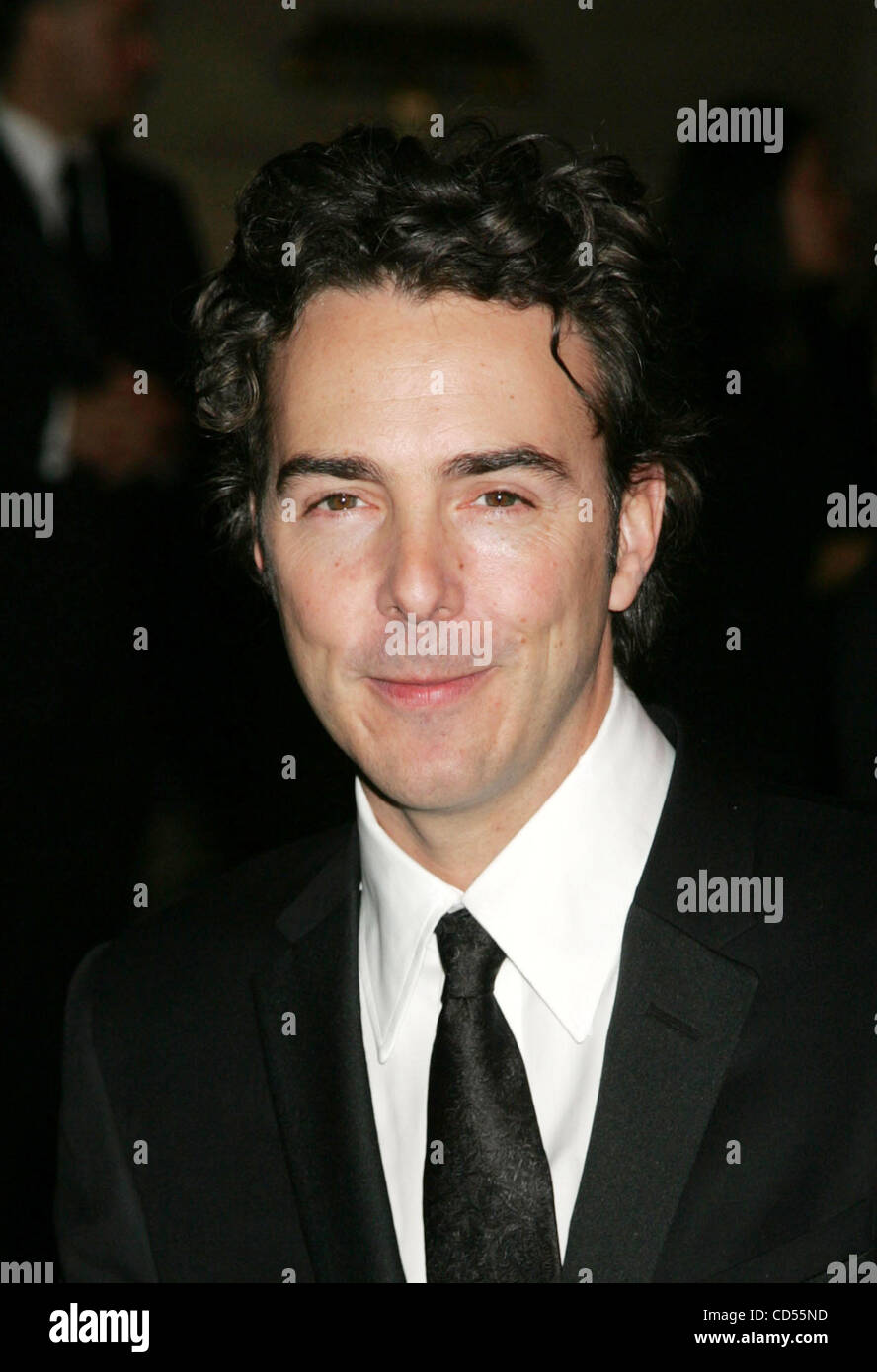 Nov 12, 2008 New York, NY, USA Director SHAWN LEVY at the Museum of