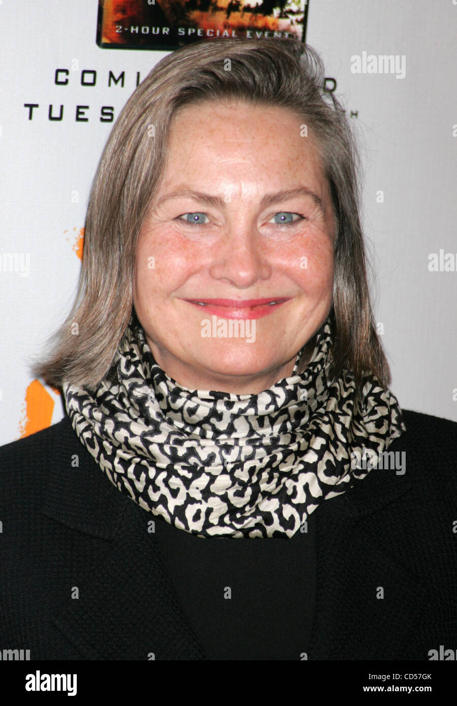 Nov 19, 2008 New York, NY, USA Actress CHERRY JONES at the arrivals