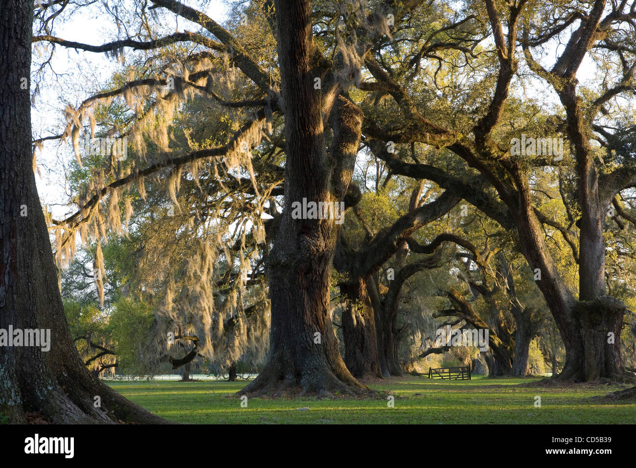 Grand coteau hires stock photography and images Alamy