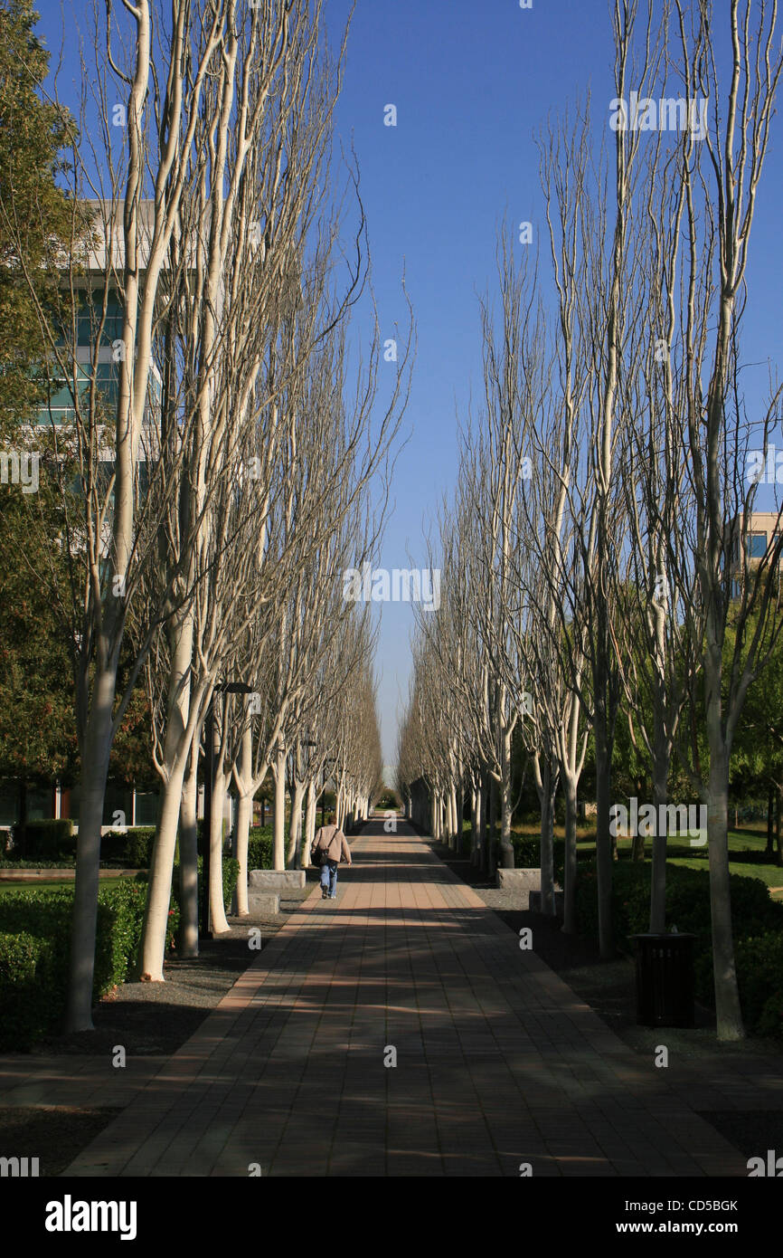 Apr 04, 2008 Redwood City, California, USA The headquarters of