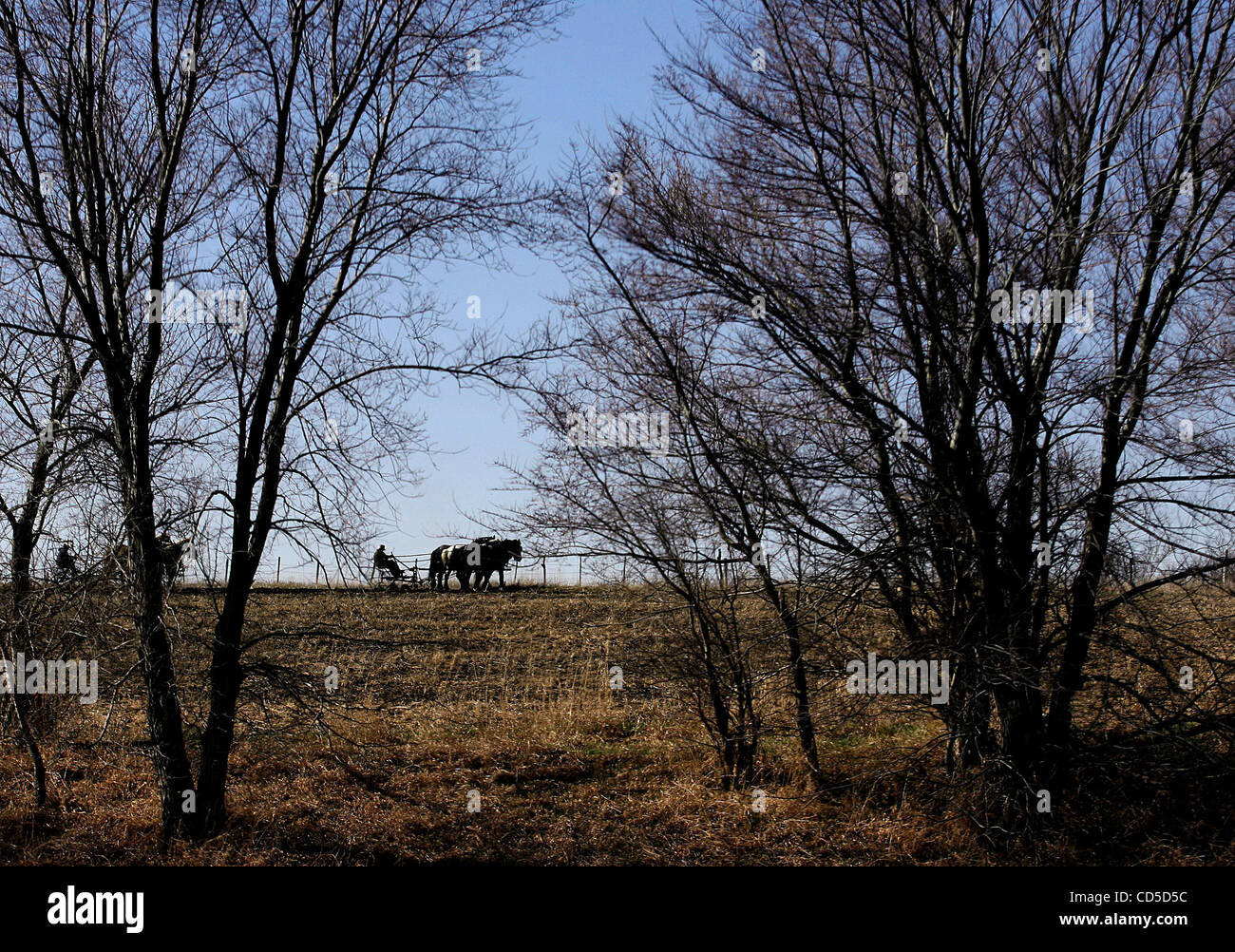 Apr 20, 2008 Kindred, North Dakota, USA Wes Bettenhausen drives his