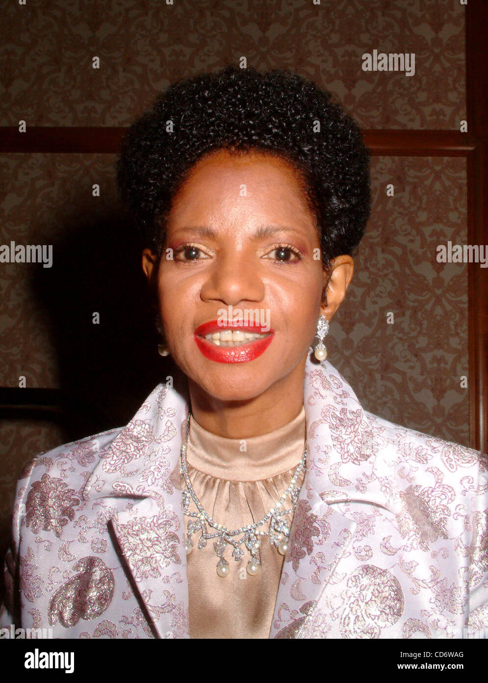 Mar. 25, 2004 - New York, New York, U.S. - K36313ML.HARLEM YMCA CELEBRATES BLACK ACHIEVERS 34TH ANNUAL AWARD CEREMONY TO HONOR RALPH DICKERSON JR. AT THE SHERATON NEW YORK HOTEL AND TOWERS , NEW YORK New York 03/25/2004.  /    MELBA MOORE(Credit Image: Â© Mitchell Levy/Globe Photos/ZUMAPRESS.com) Stock Photo