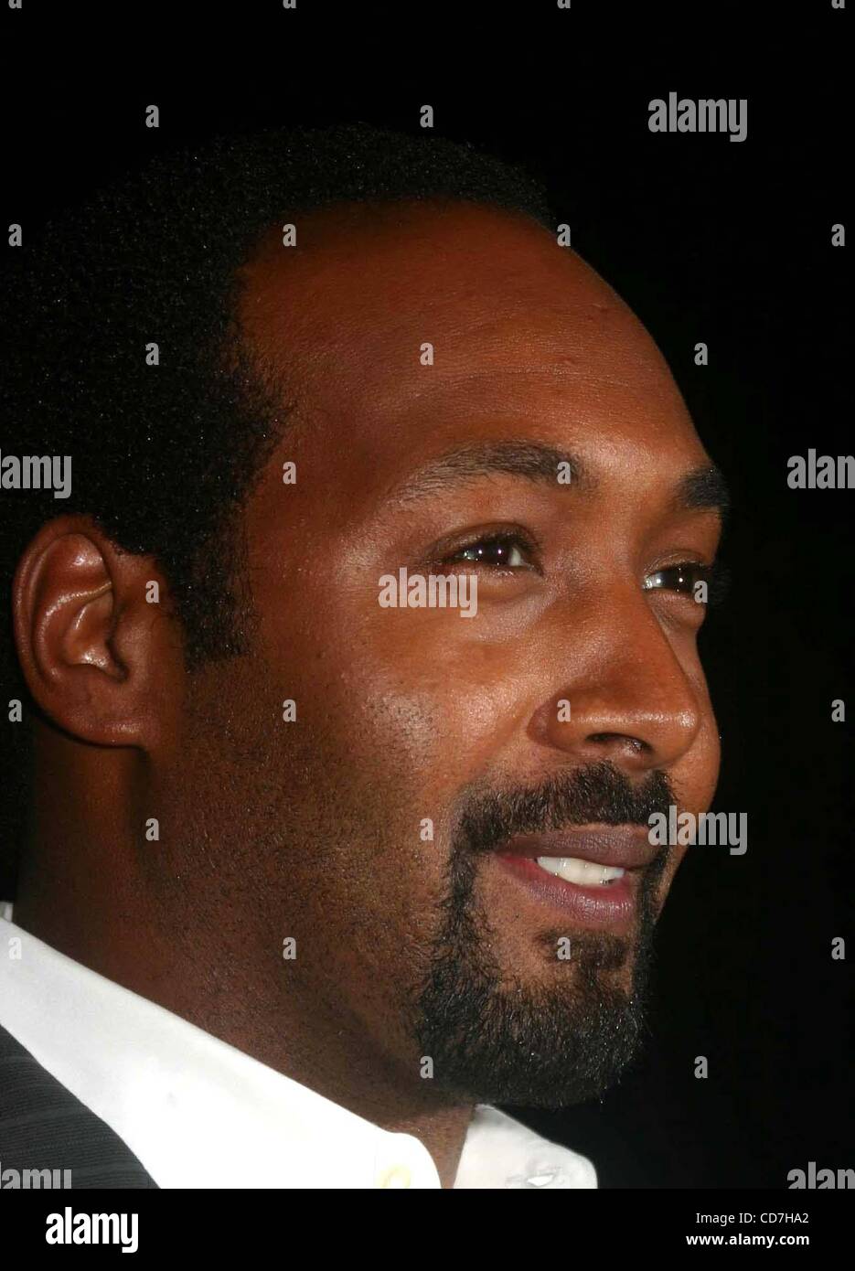 Sept. 21, 2004 - New York, New York, U.S. - K39572ML.LAW AND ORDER SPECIAL PREMIERE PARTY AT ONE LITTLE WEST 12TH STREET RESTAURANT , NEW YORK New York  09/21/2004.   /    JESSE L. MARTIN(Credit Image: Â© Mitchell Levy/Globe Photos/ZUMAPRESS.com) Stock Photo