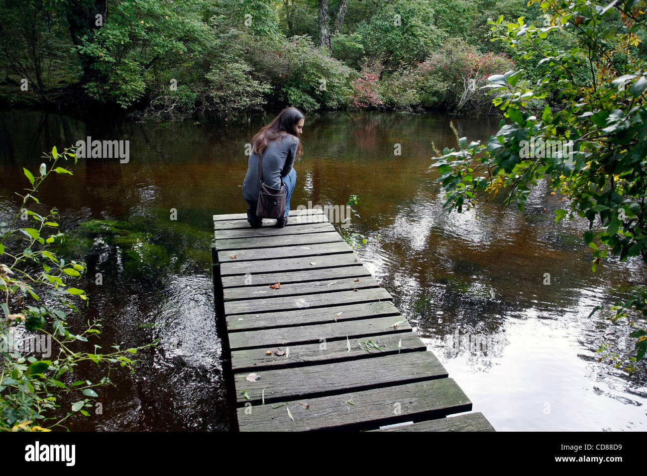 Sea run brown trout hires stock photography and images Alamy