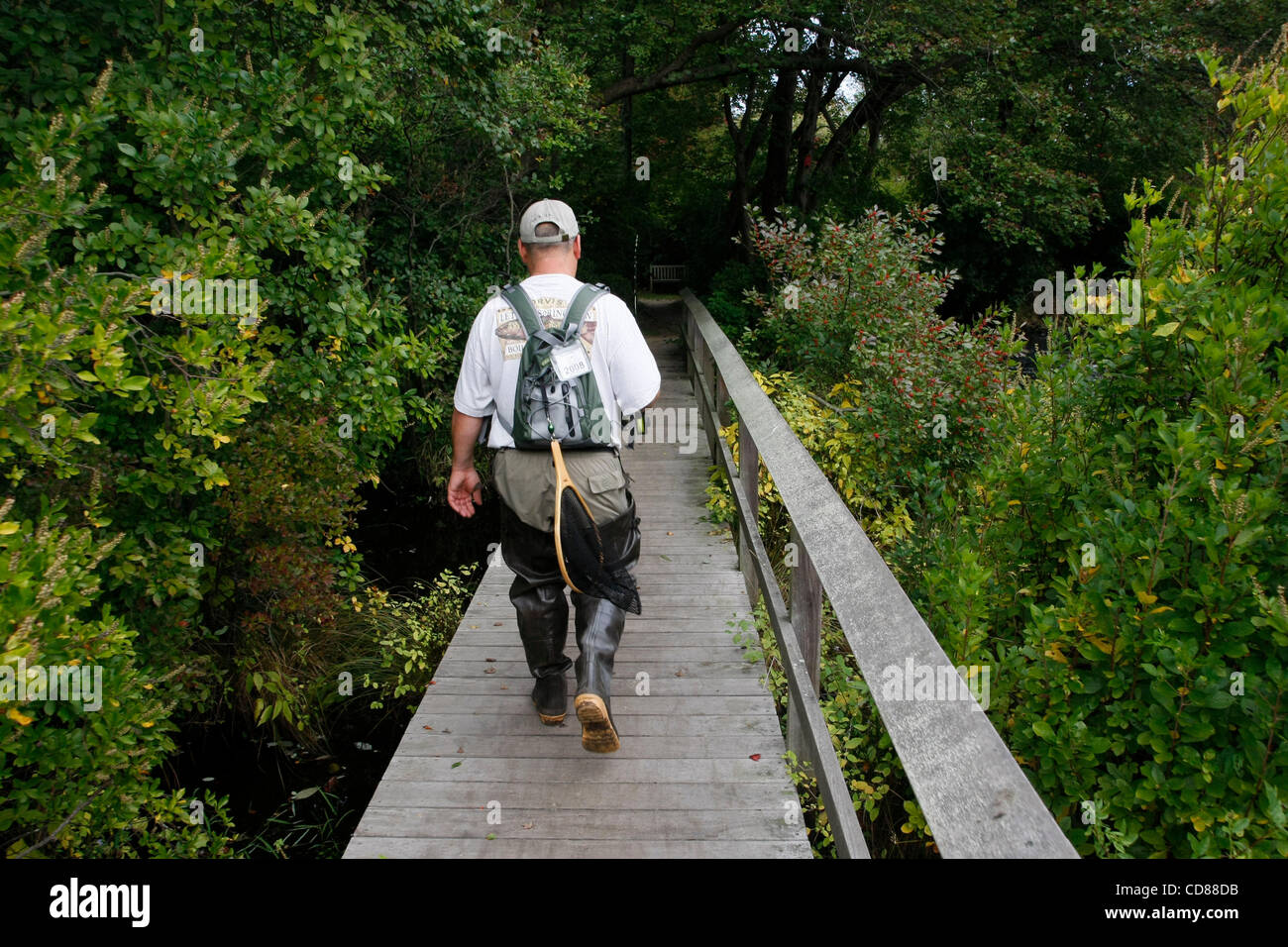 Sea run brown trout hires stock photography and images Alamy