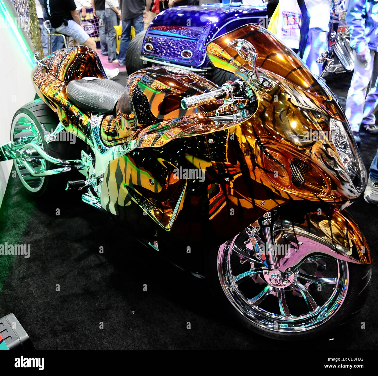 Some of the many different kinds of custom style bikes on display