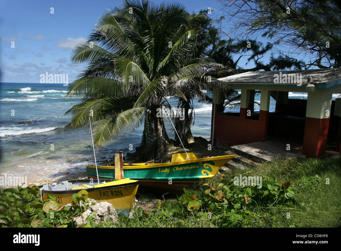 The Atlantic Coast,   Barbados beaches are known for their  clear waters, and the Barbadians really enjoy them.  Barbados (Portuguese word for bearded-ones, pronounced /b?r?be?do?z, -d?s/),[2] situated just east of the Caribbean Sea, is an independent island nation in the western Atlantic Ocean. At  Stock Photo