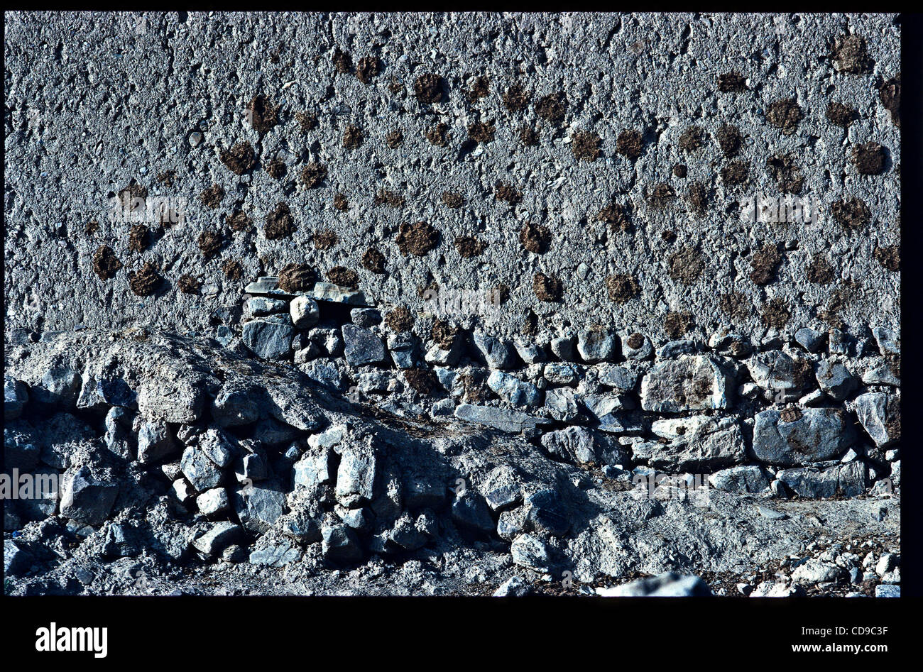 Dried Cow Manure High Resolution Stock Photography and Images - Alamy