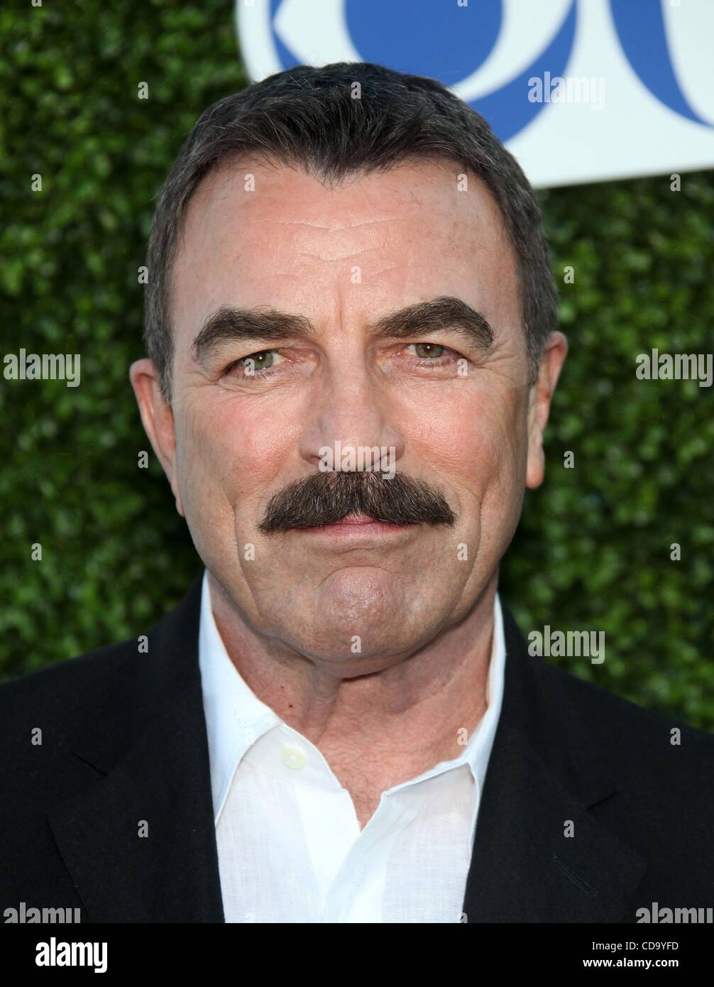 Tom Selleck at the annual LA Dodgers Celebrity Baseball game August 1981.  Credit: Ralph Dominguez/MediaPunch Stock Photo - Alamy