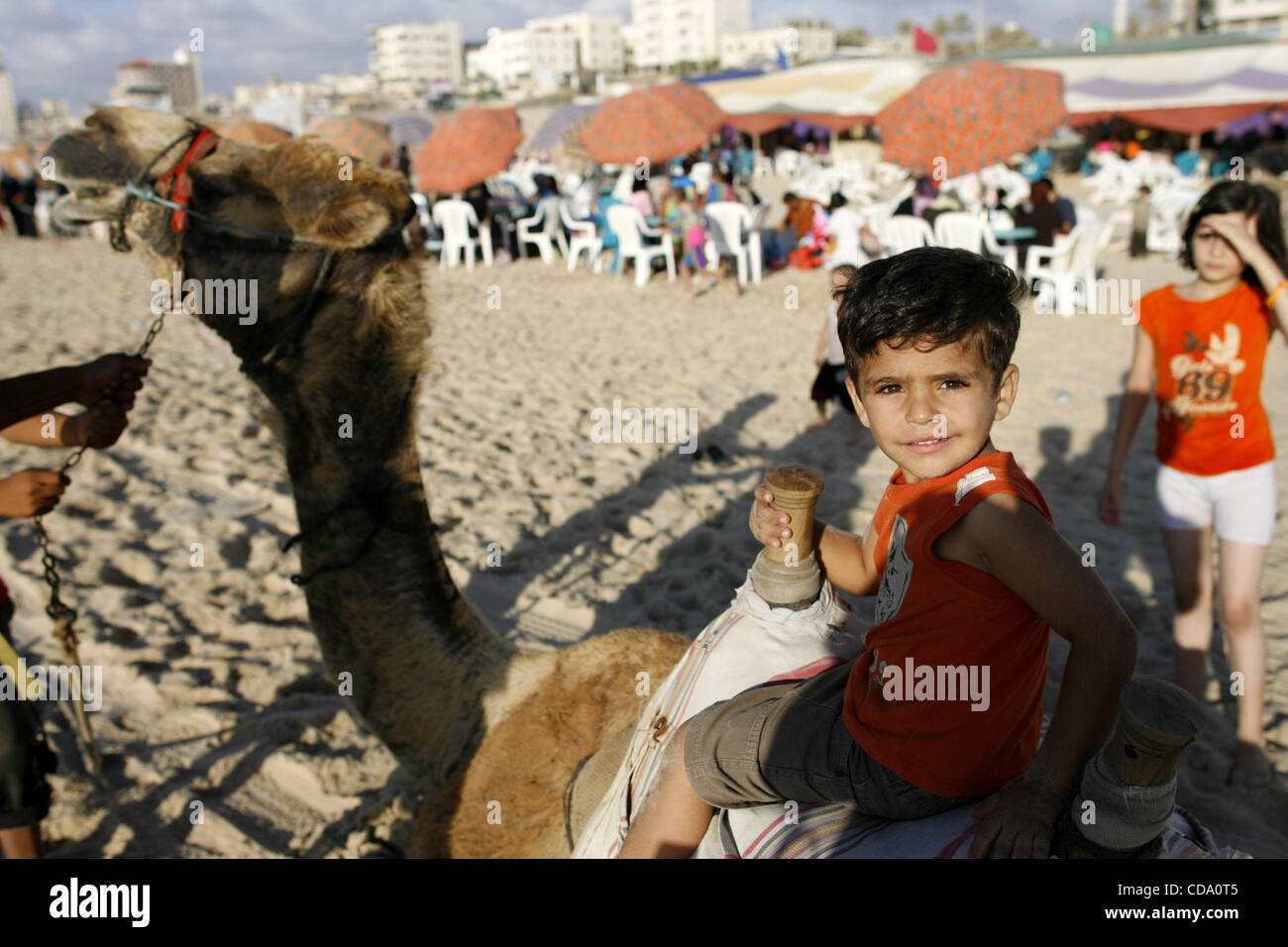 Jul 30, 2010 - Gaza City, Gaza Strip - A Palestinian boy rides a camel ...