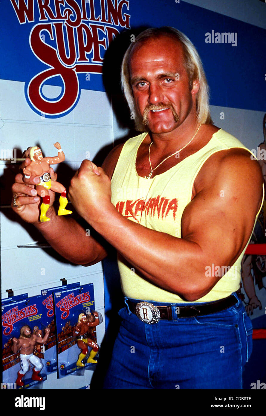 Hulk Hogan 1970s