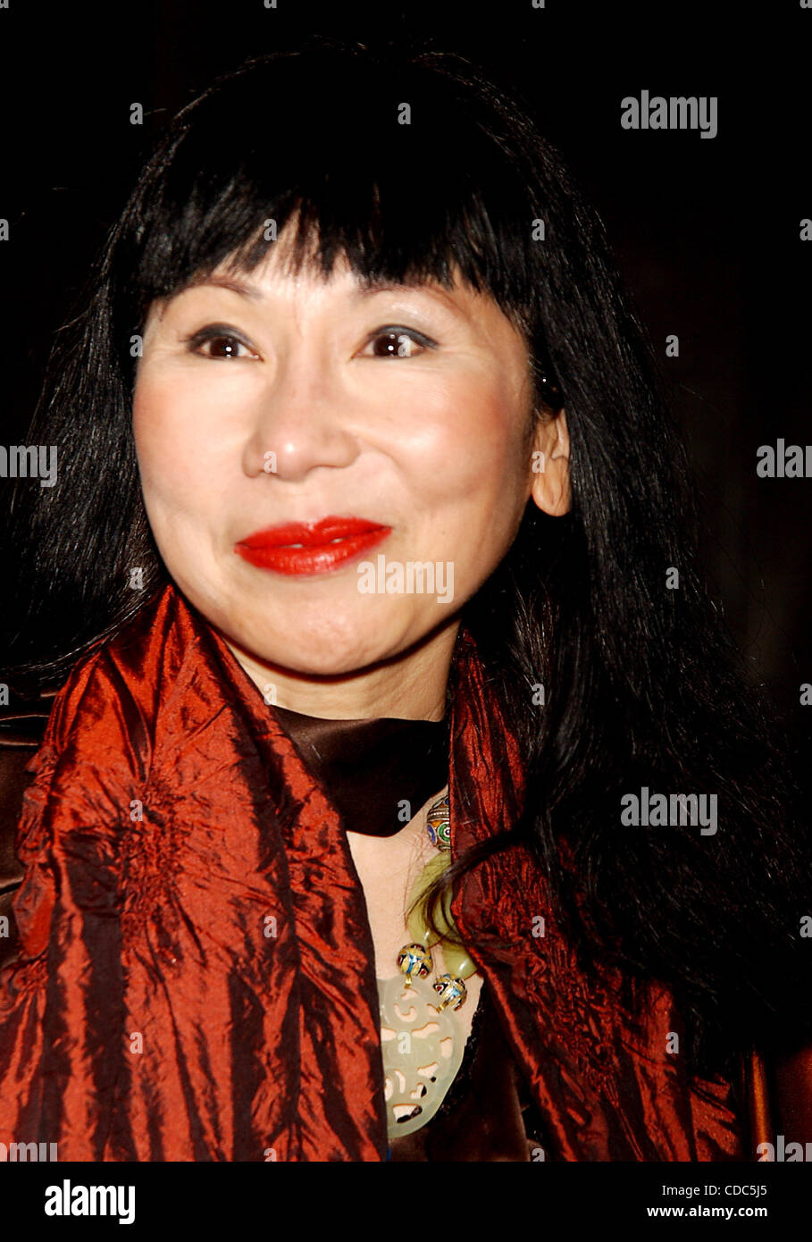 Amy tan hi-res stock photography and images - Alamy