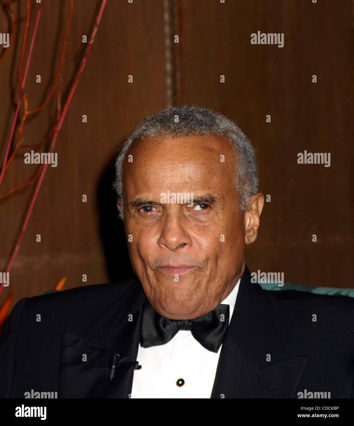 K35190ML.THE AMERICAN FOUNDATION FOR THE UNIVERSITY OF THE WEST INDIES: THE LEGACY CONTINUES.CIPRIANI, NEW YORK New York 01/29/2004.  /    HARRY BELAFONTE(Credit Image: Â© Mitchell Levy/Globe Photos/ZUMAPRESS.com) Stock Photo