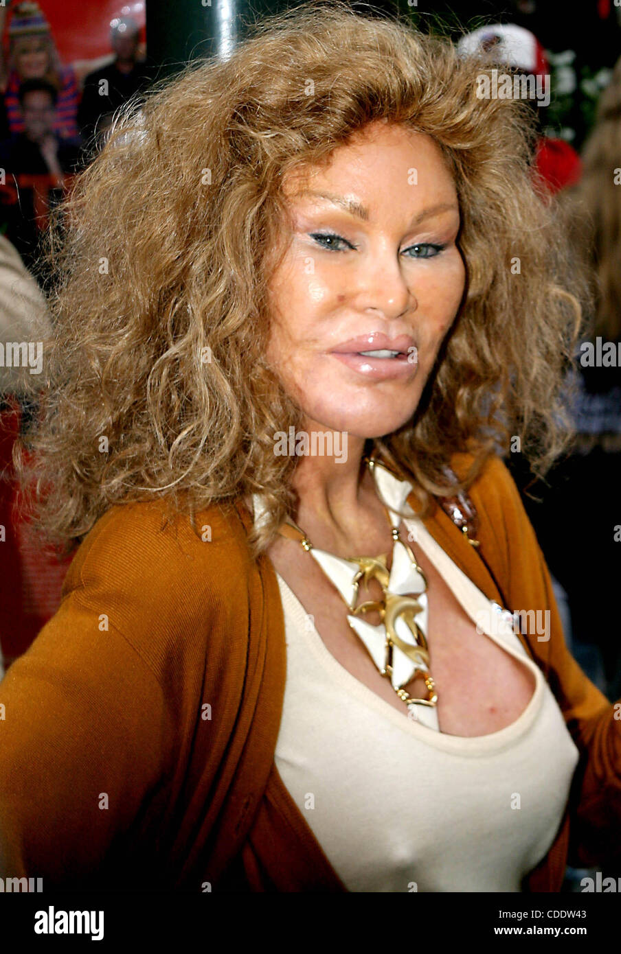 Jocelyn wildenstein hi-res stock photography and images - Alamy