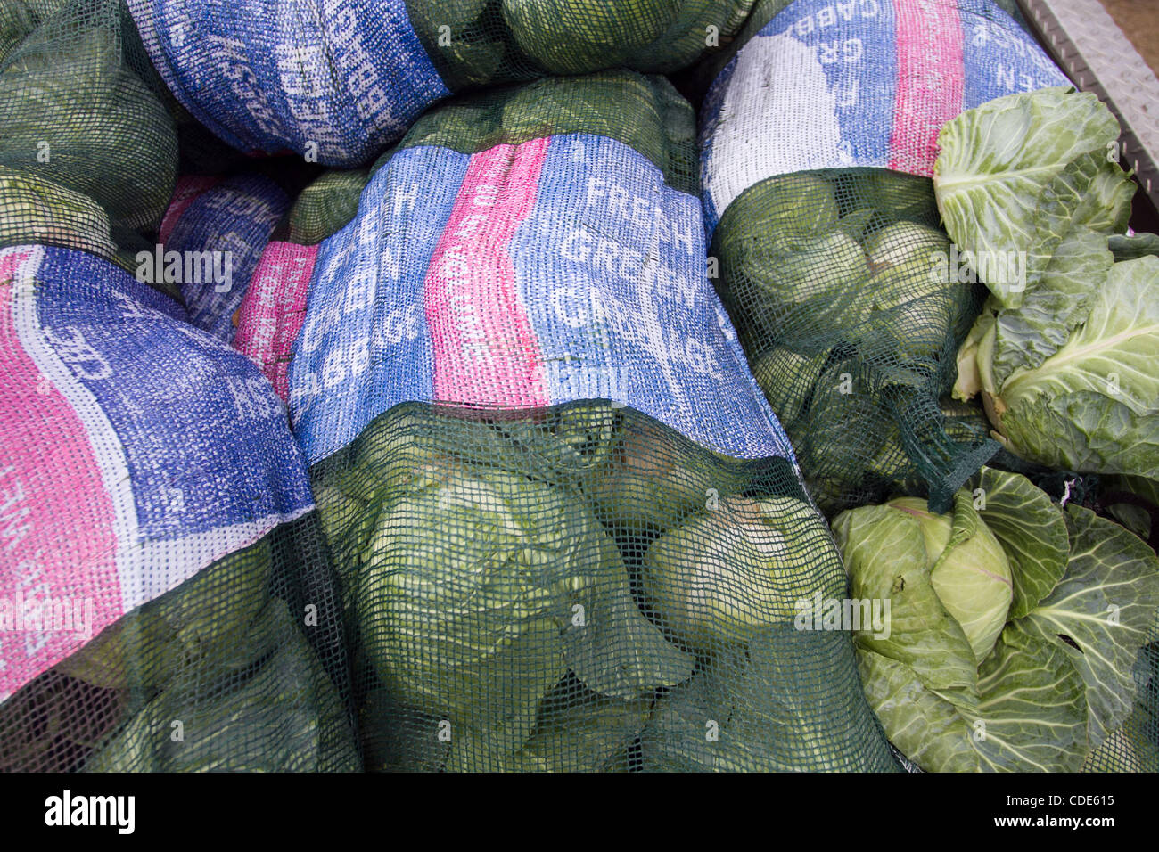 Mar 09, 2011 Samsula, Florida, U.S. Over a 1000 lbs. of cabbage are