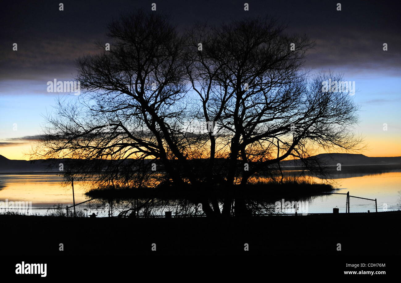 A silhouette of a tree at the Klamath Falls National Wildlife Refuge in
