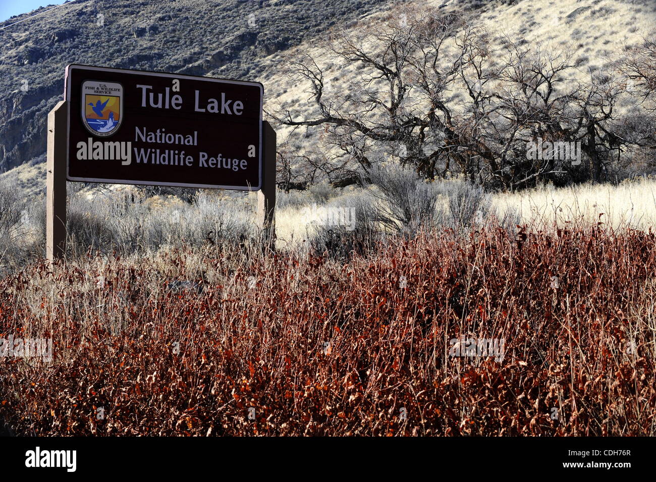Tule lake wildlife refuge hires stock photography and images Alamy