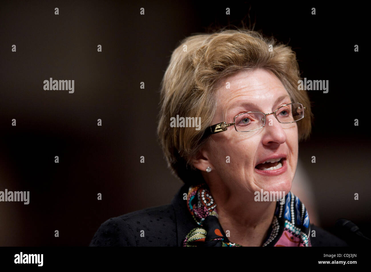 Feb 15, 2011 - Washington, District of Columbia, U.S. - Dr. JO ANN ROONEY testifies before a Senate Armed Services Committee Hearing her nomination to serve as Principal Deputy Undersecretary of Defense for Personnel and Readiness. (Credit Image: © Pete Marovich/ZUMAPRESS.com) Stock Photo