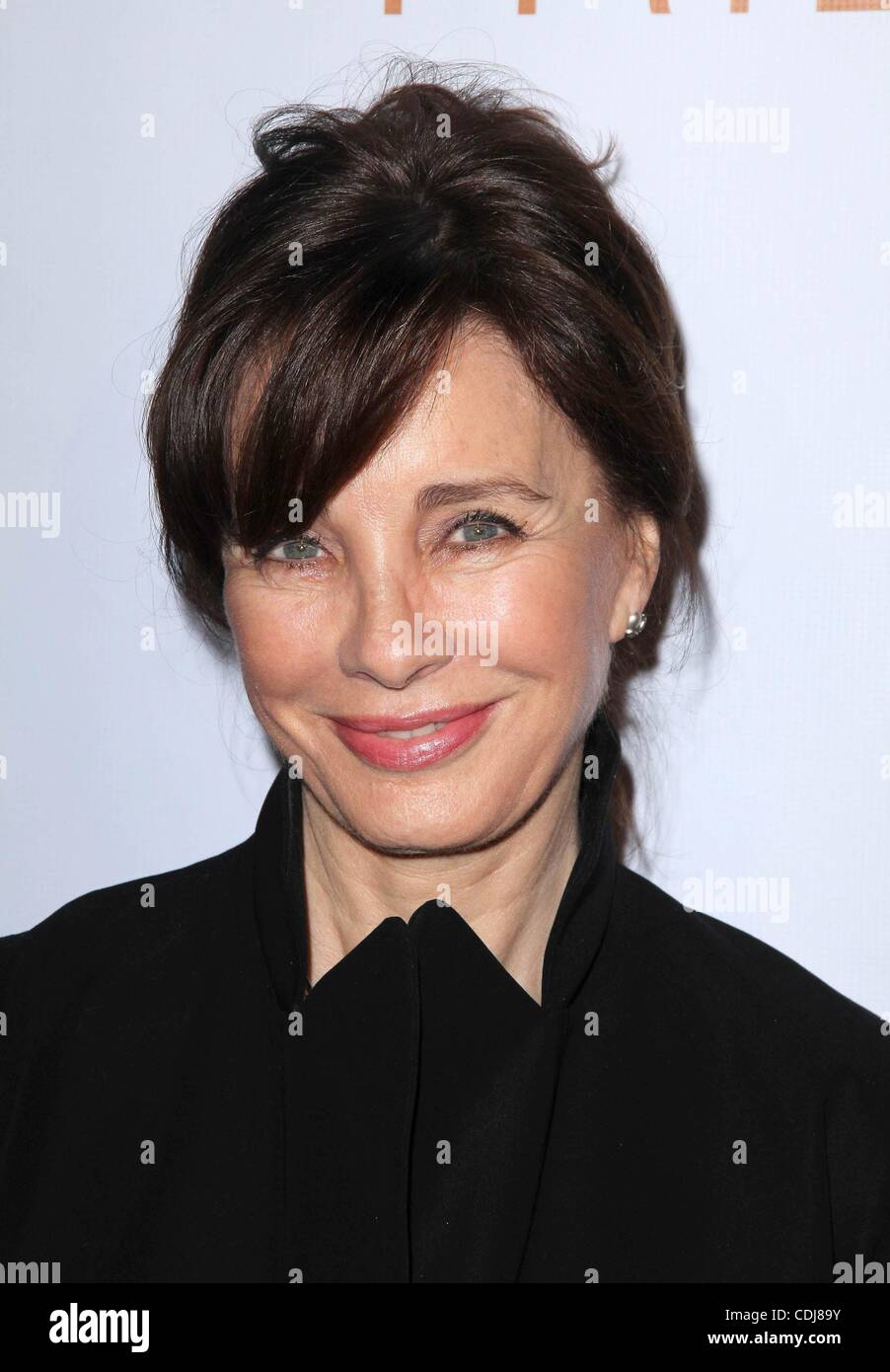 Anne archer actress hi-res stock photography and images - Alamy