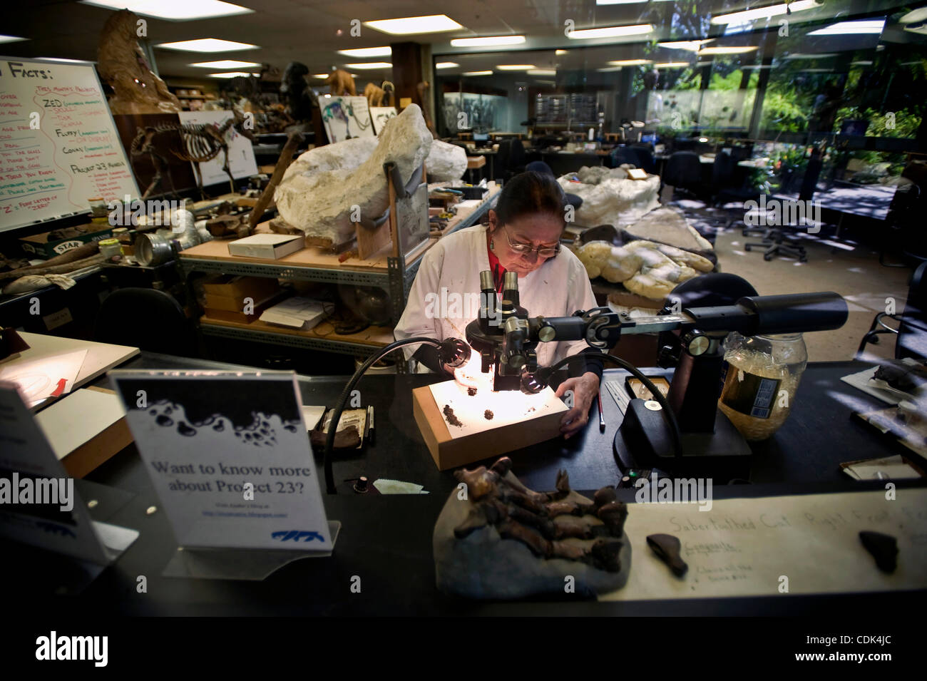 Lab Museum Fish Mar. 09, 2011 - Los Angeles, California, USA - A look inside the Page ...
