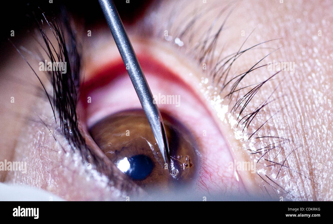 Mar 25, 2011 Vinh Phuc, Vietnam Dr. DENNIS CHING, an