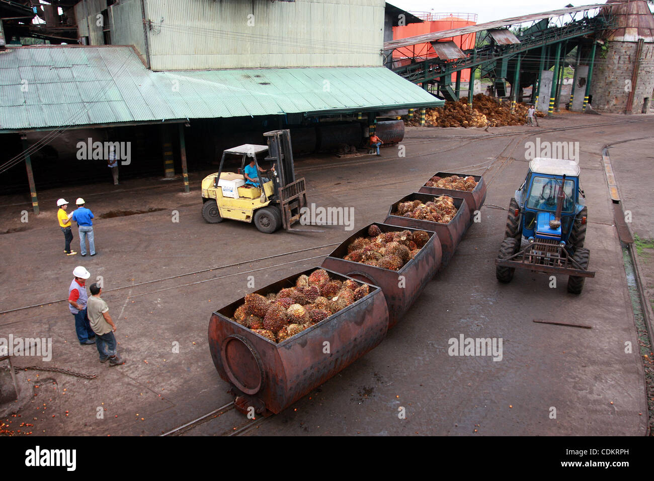 Mar 25, 2011 - Isulan, Mindanao Island, Philippines - Filipino workers are seen at the processing plant for oil palm fruits. Palm oil is considered as important as its other resources as it aims for growth. Asian firms like those in Indonesia and Philippines might take the lead in the production of  Stock Photo