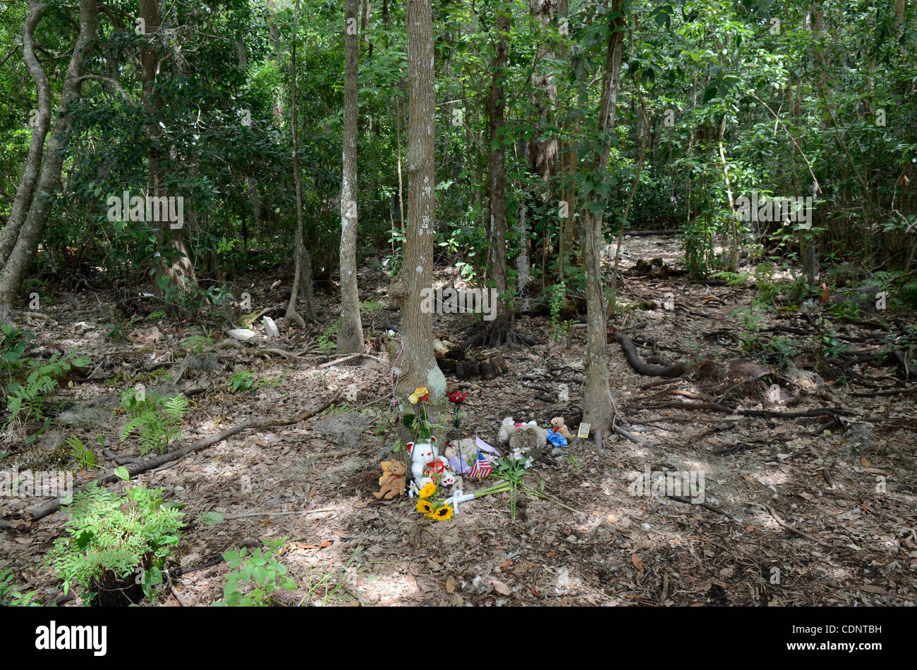 June 28, 2011 - Orlando, Florida, U.S. - Stuffed animals, flowers and other  items sit at a makeshift memorial in the area where the body of  two-year-old Caylee Anthony was found in