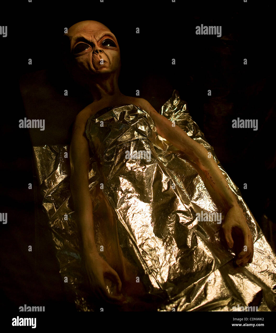 July1, 2011 - Roswell, New Mexico, USA - An exhibit at the Alien Zone ...
