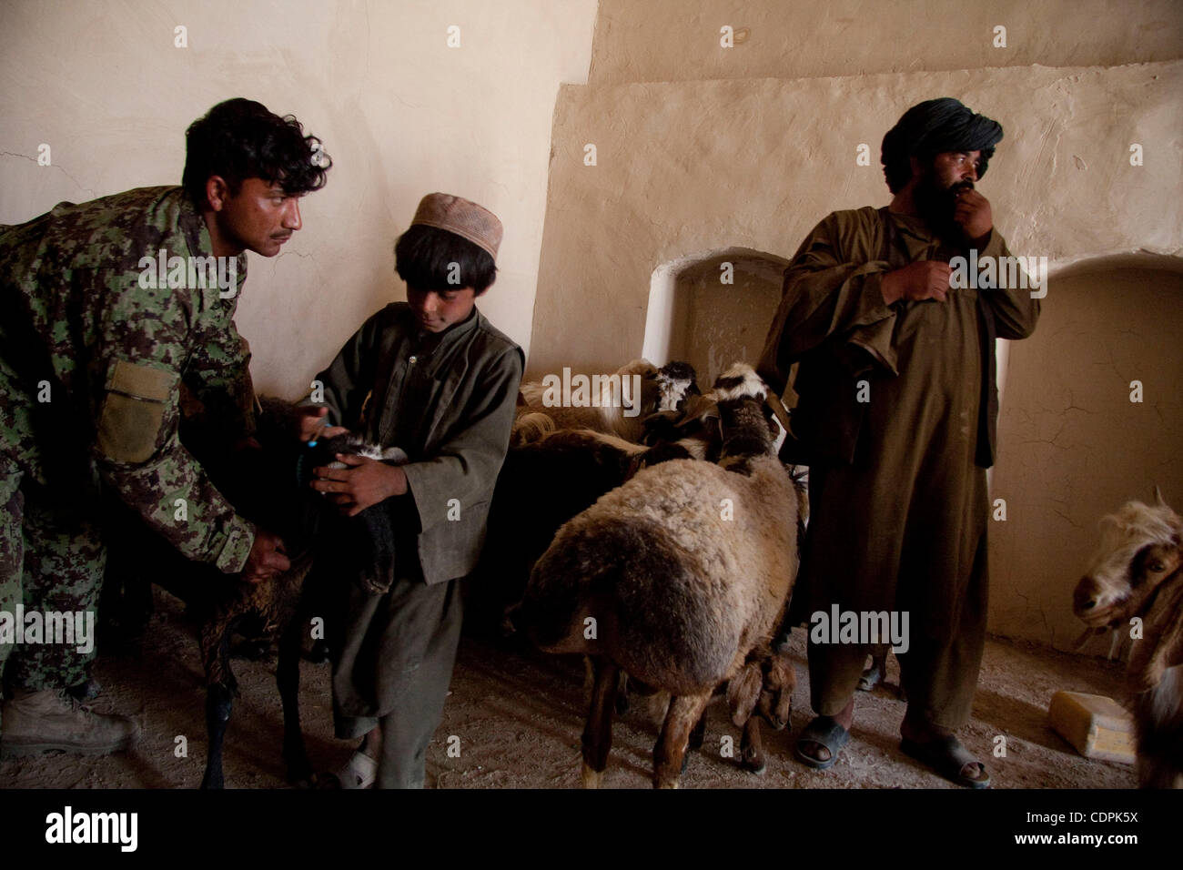 Apr 27, 2011 - Town of Naw Zad, Naw Zad district, Helmand, Afghanistan - An ANA soldier from 4th Company, 3rd Kandak, 2nd Brigade of 215th Afghan National Army Corps checks a goat at the Bazar of Naw Zad in Naw Zad district in Helmand province, Afghanistan, Wedensday. While security in the area has  Stock Photo