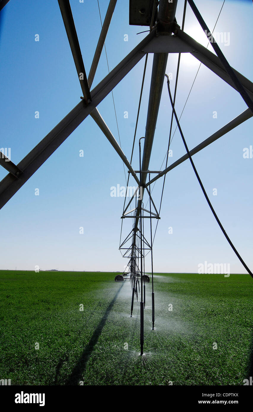 June 24, 2011 Dalhart, Texas, USA June 24, 2011. The sun beats down