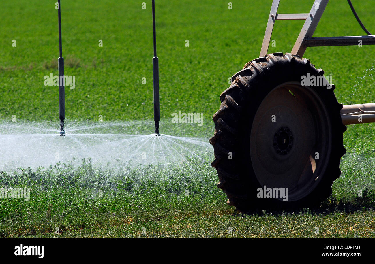 June 24, 2011 Dalhart, Texas, USA June 24, 2011. A center pivot