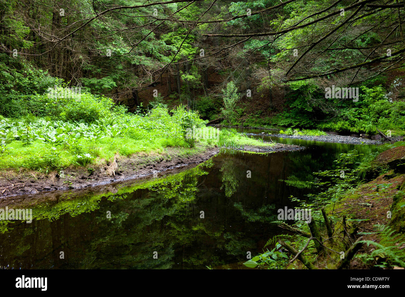 Dingmans ferry hires stock photography and images Alamy