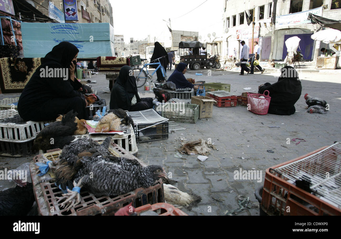 Palestinian vendors display birds for selling, at the market in the Rafah refugee camp, southern Gaza Strip on Sep 11, 2011. Photo by Abed Rahim Khatib Stock Photo