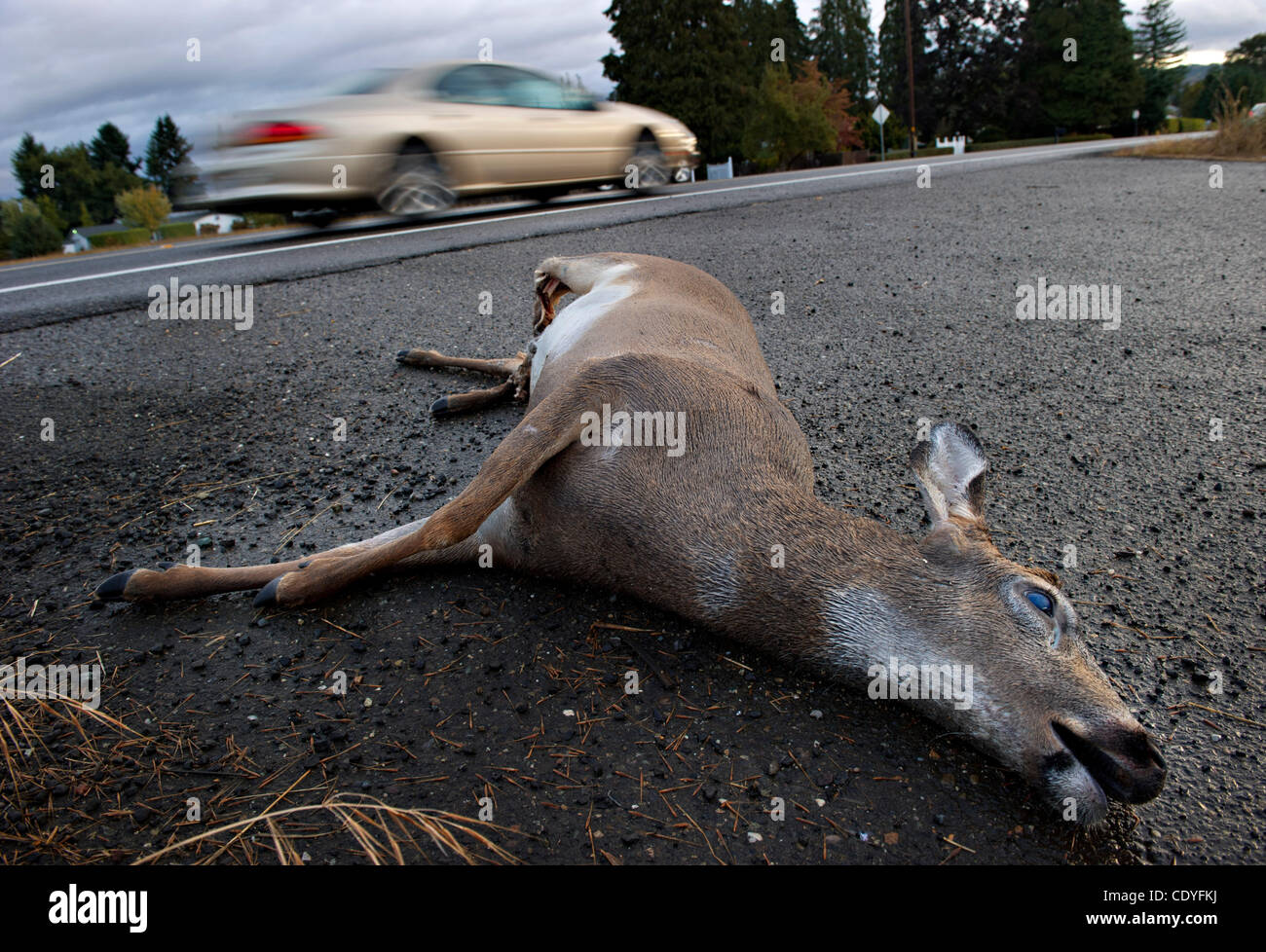 000 vehicle hires stock photography and images Alamy