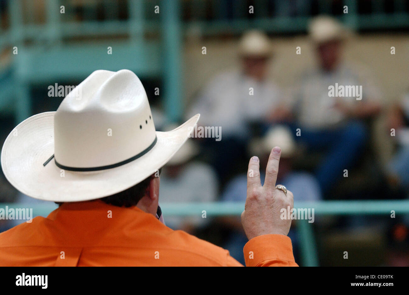 A cattle auctioneer motions for a bid on a head of cattle during a
