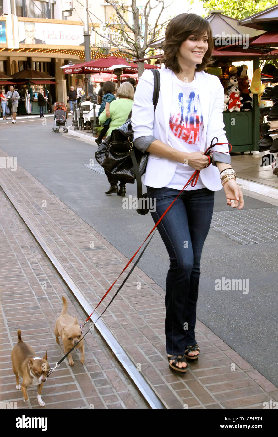Katharine McPhee out shopping at The Grove in Hollywood with her dogs