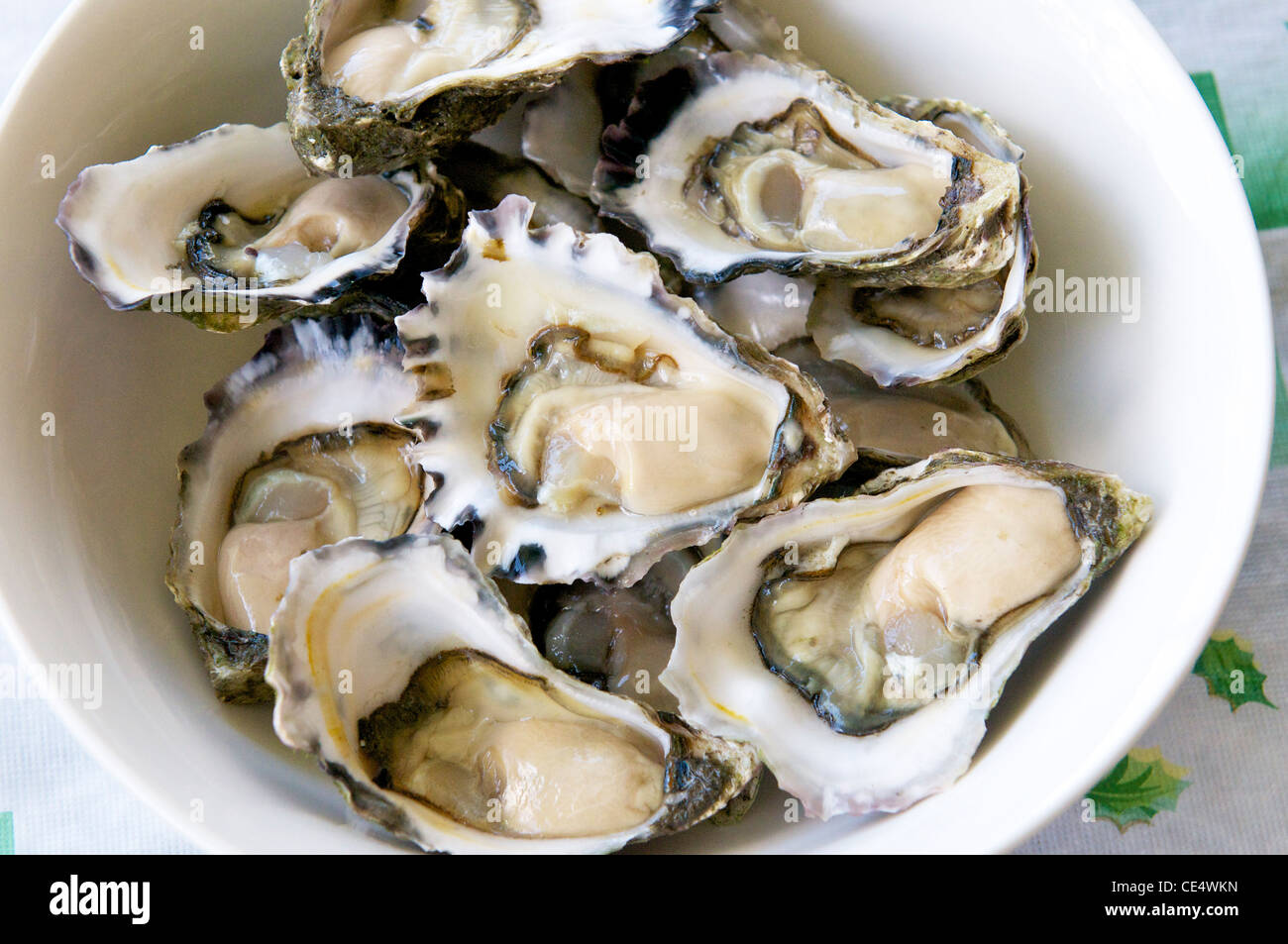Oyster swallow hires stock photography and images Alamy