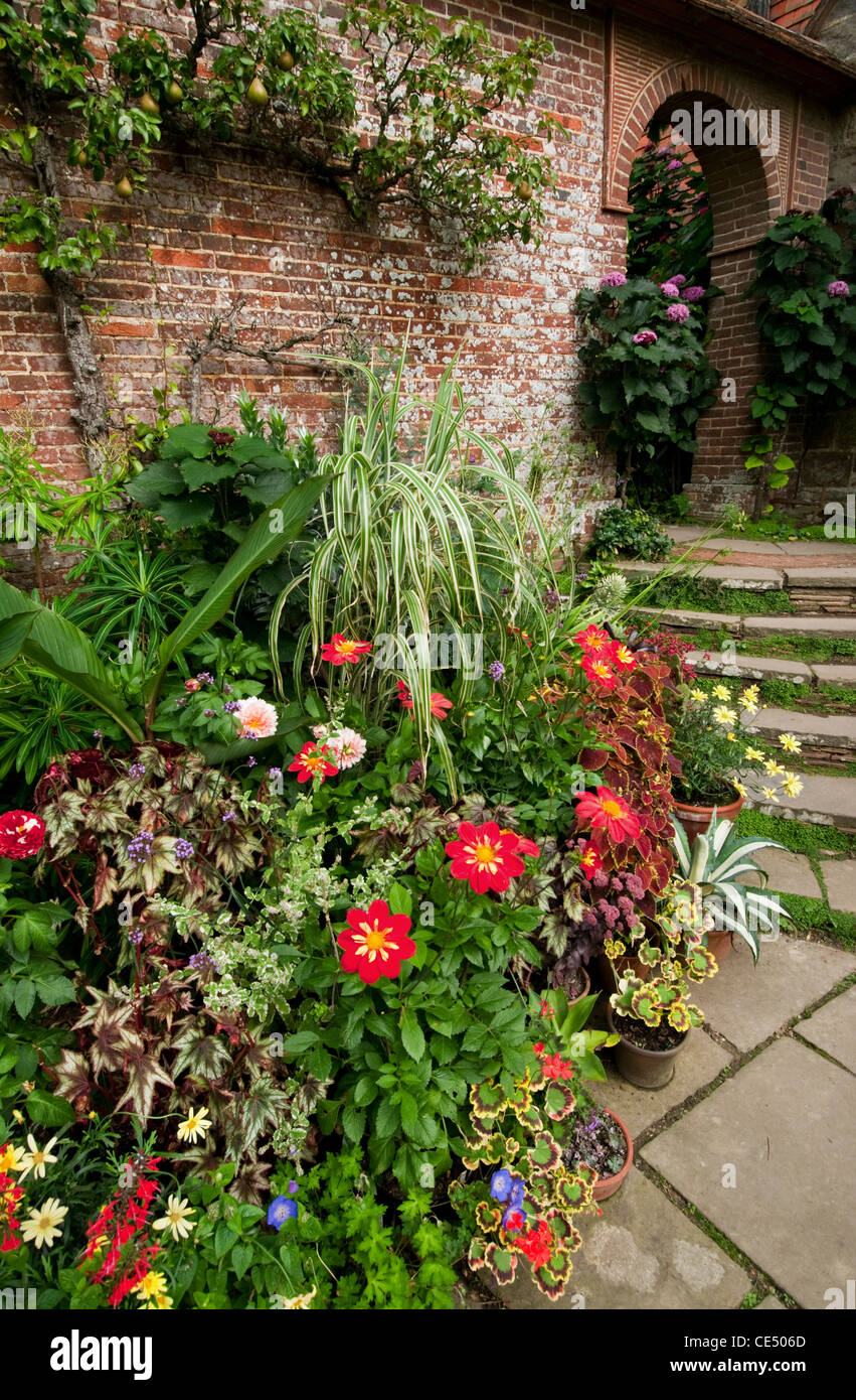 Colourful flowers on display in a walled garden. Stock Photo
