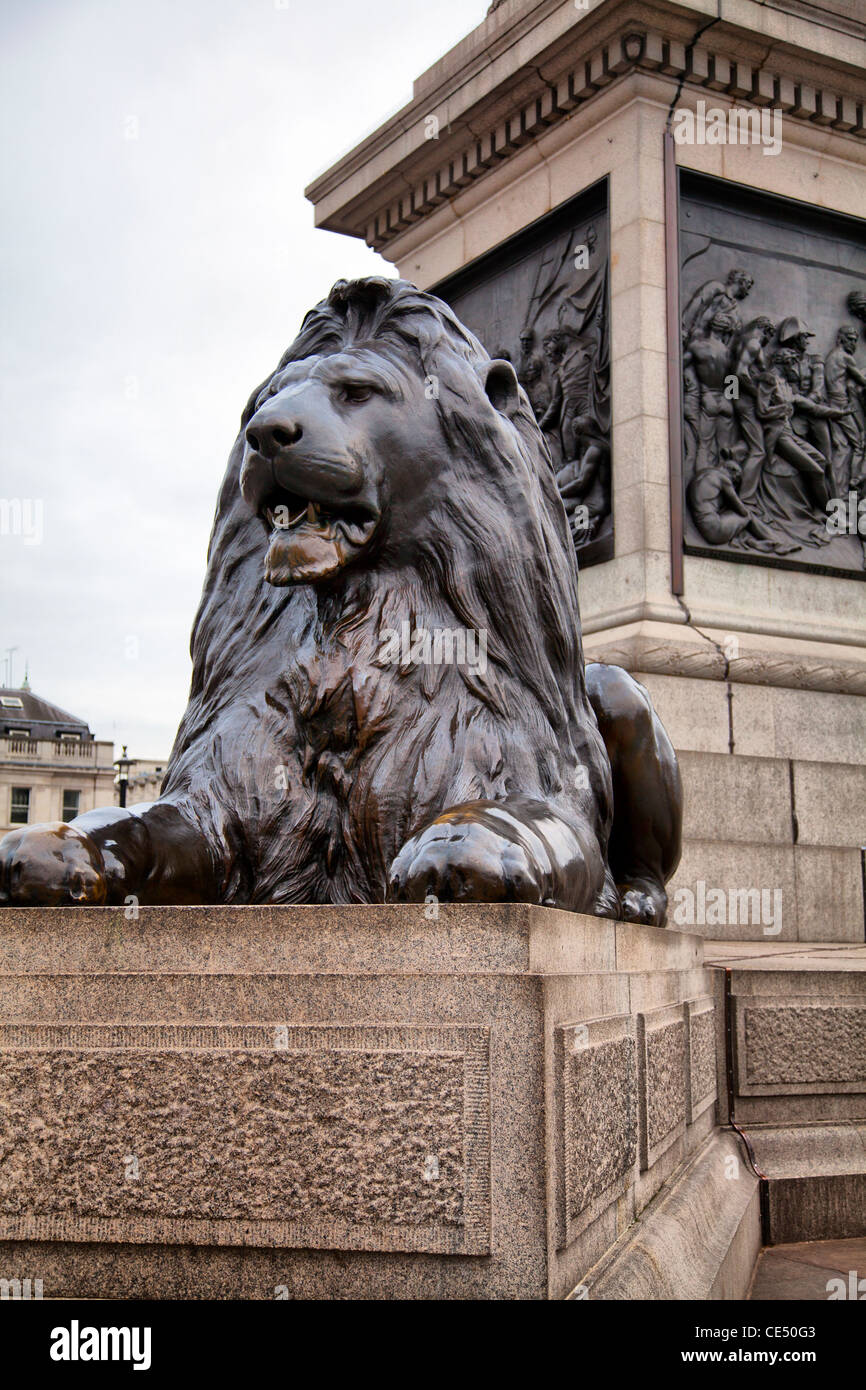Trafalgar Square Lion - London UK Stock Photo - Alamy