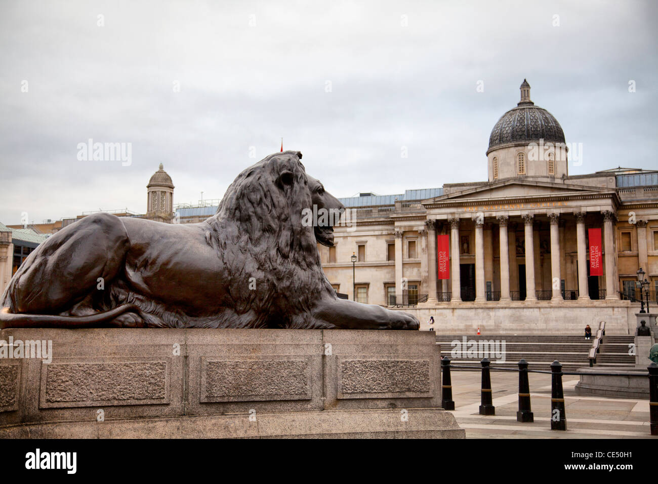 Trafalgar Square Lion - London UK Stock Photo