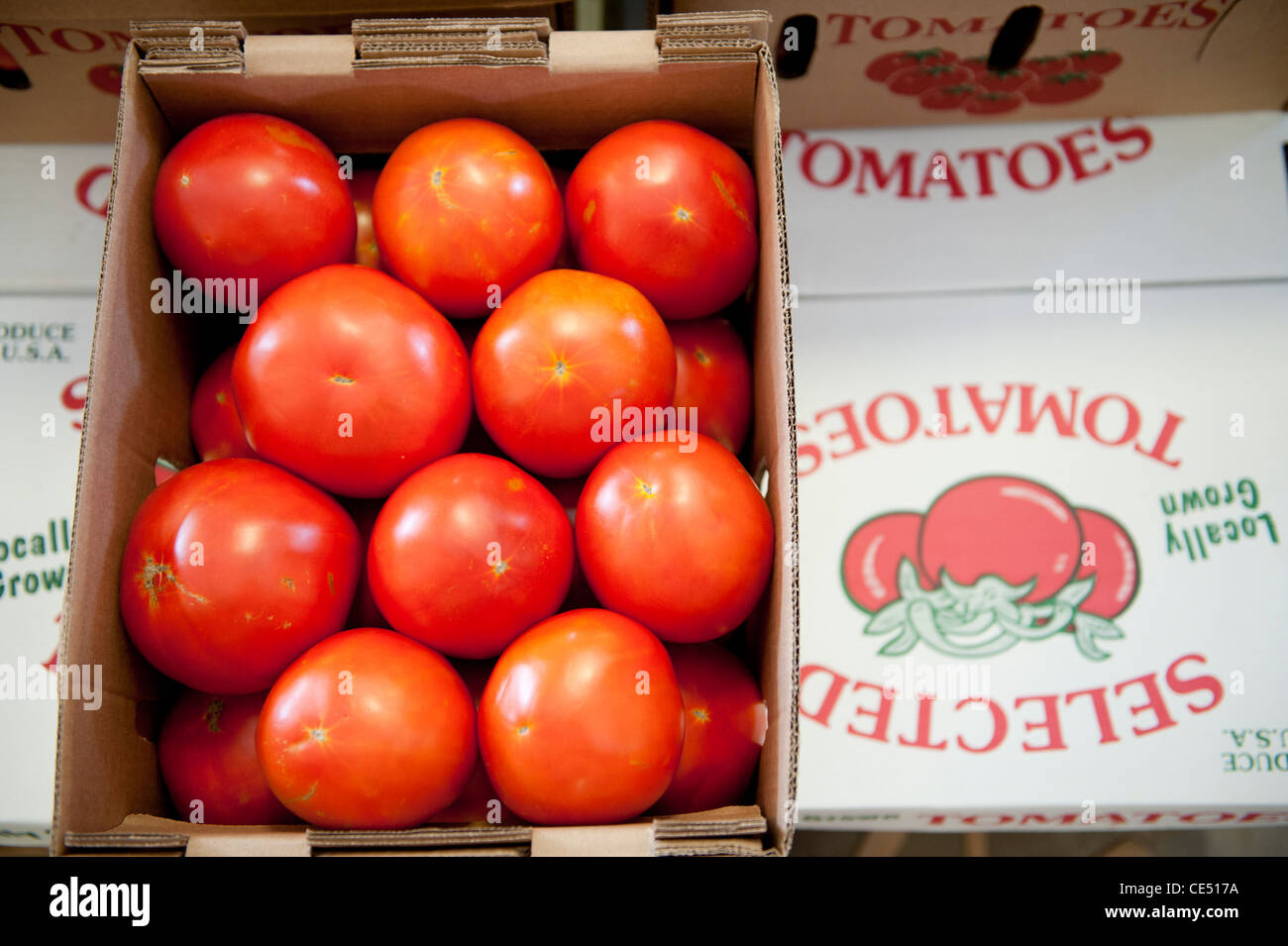 cardboard box of tomatoes Stock Photo Alamy