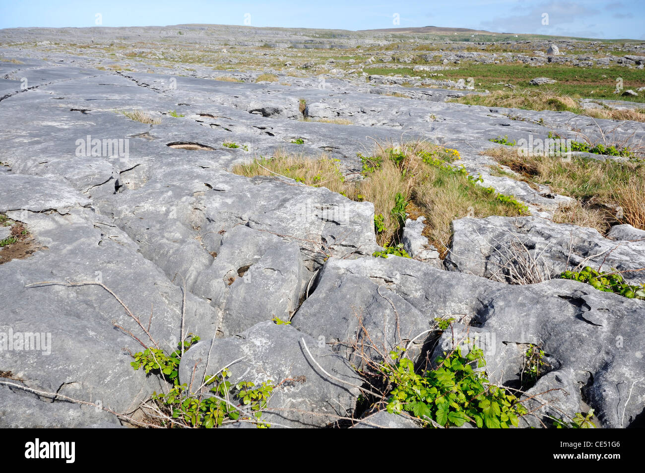 Limestone Pavement and inland cliffs at Poulsallagh, The Burren Stock ...