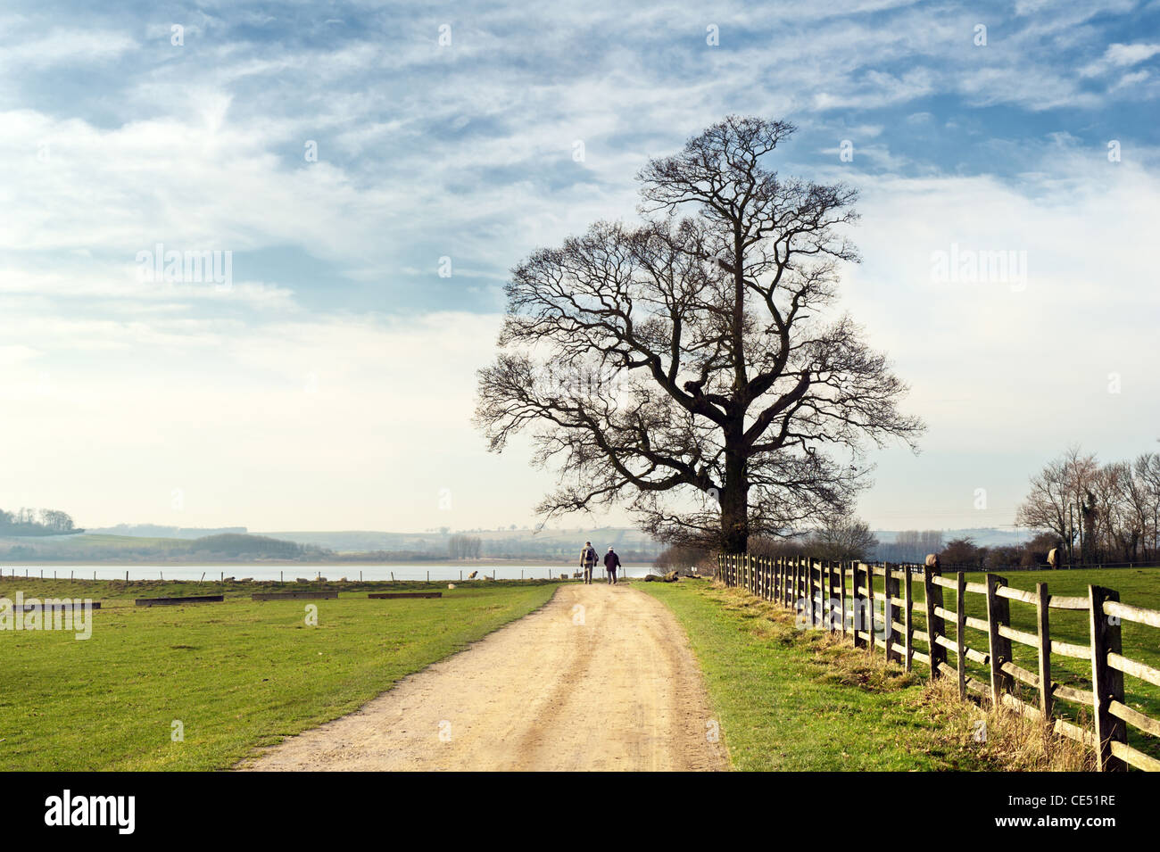 Path around a lake on an english country park. Stock Photo