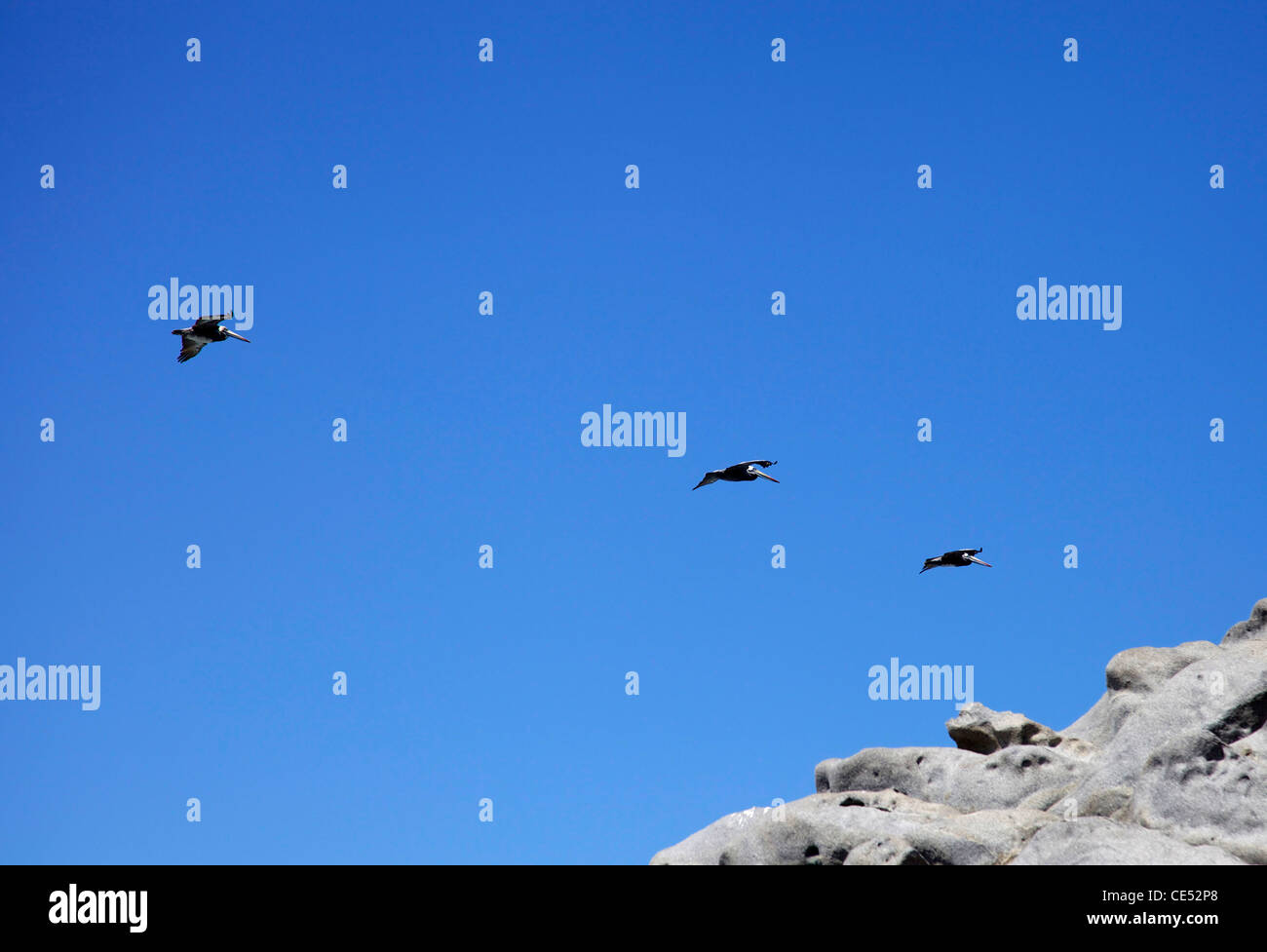 Hat flying off hires stock photography and images Alamy