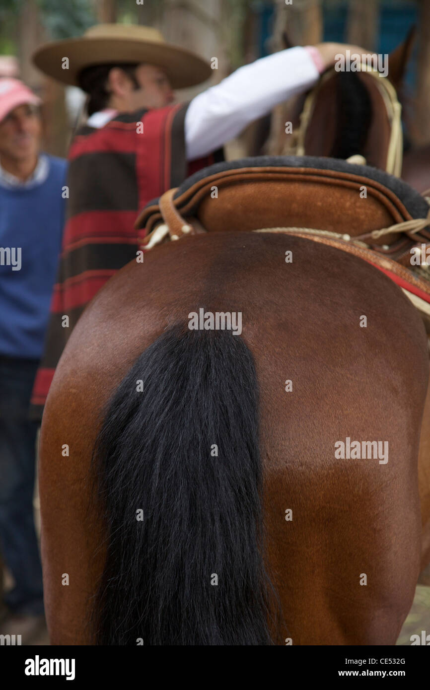 Casa Silva Rodeo Stock Photo - Alamy