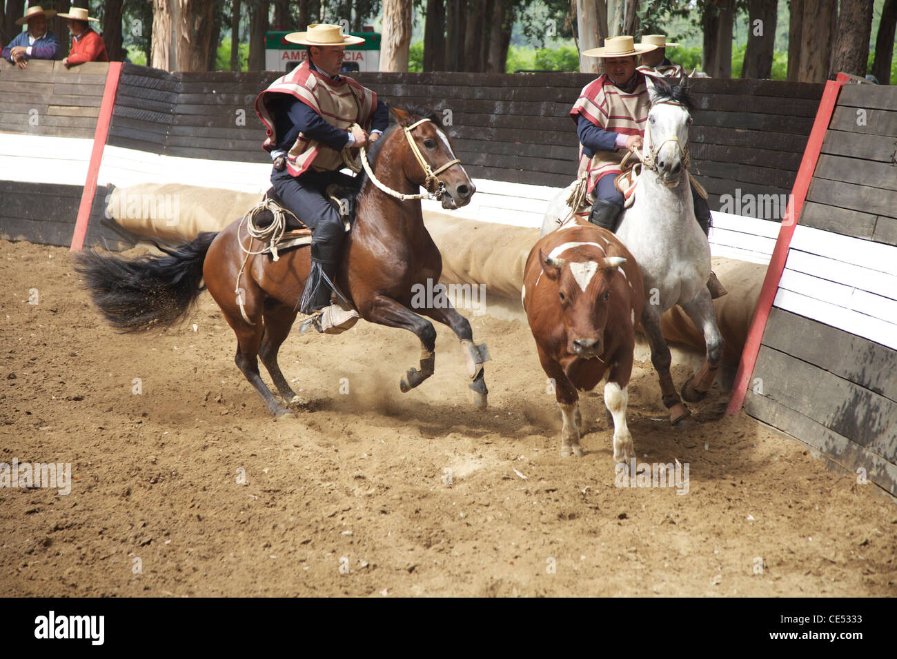 Rodeo at Casa Silva Chile Stock Photo - Alamy